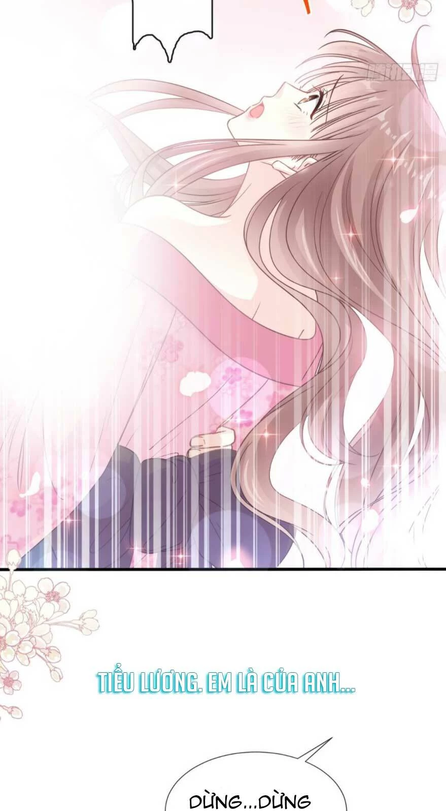 Bá Đạo Tổng Tài Nhẹ Nhàng Yêu Chapter 99.2 - 8