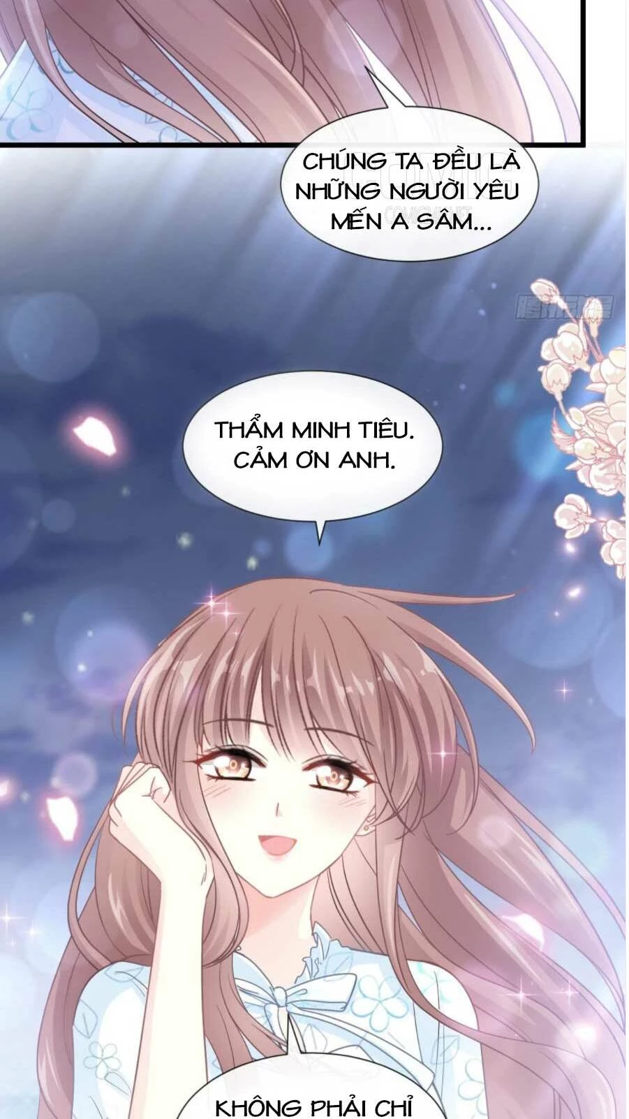 Bá Đạo Tổng Tài Nhẹ Nhàng Yêu Chapter 108.2 - 13