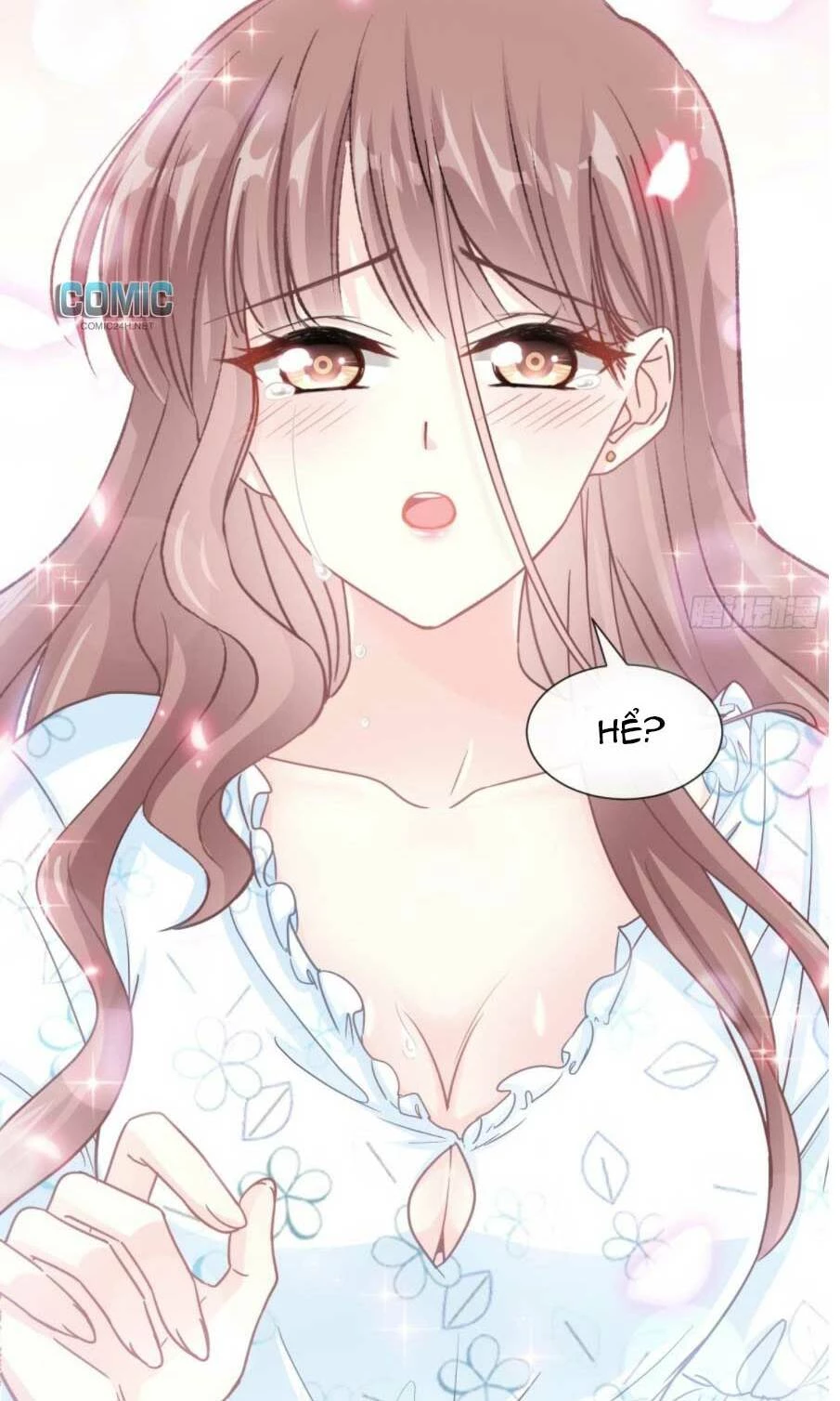 Bá Đạo Tổng Tài Nhẹ Nhàng Yêu Chapter 109.2 - 17