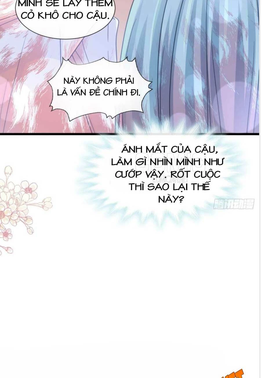 Bá Đạo Tổng Tài Nhẹ Nhàng Yêu Chapter 112.2 - 17