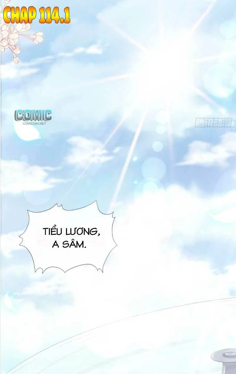 Bá Đạo Tổng Tài Nhẹ Nhàng Yêu Chapter 114.1 - 5