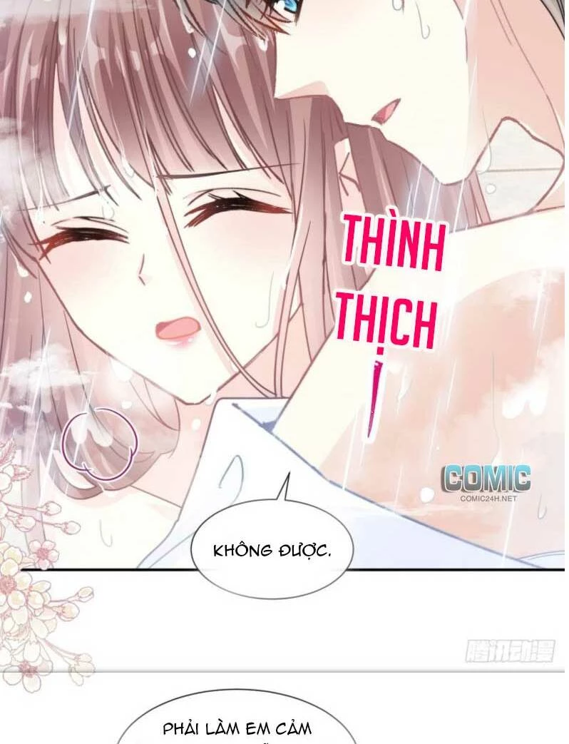 Bá Đạo Tổng Tài Nhẹ Nhàng Yêu Chapter 115.2 - 13