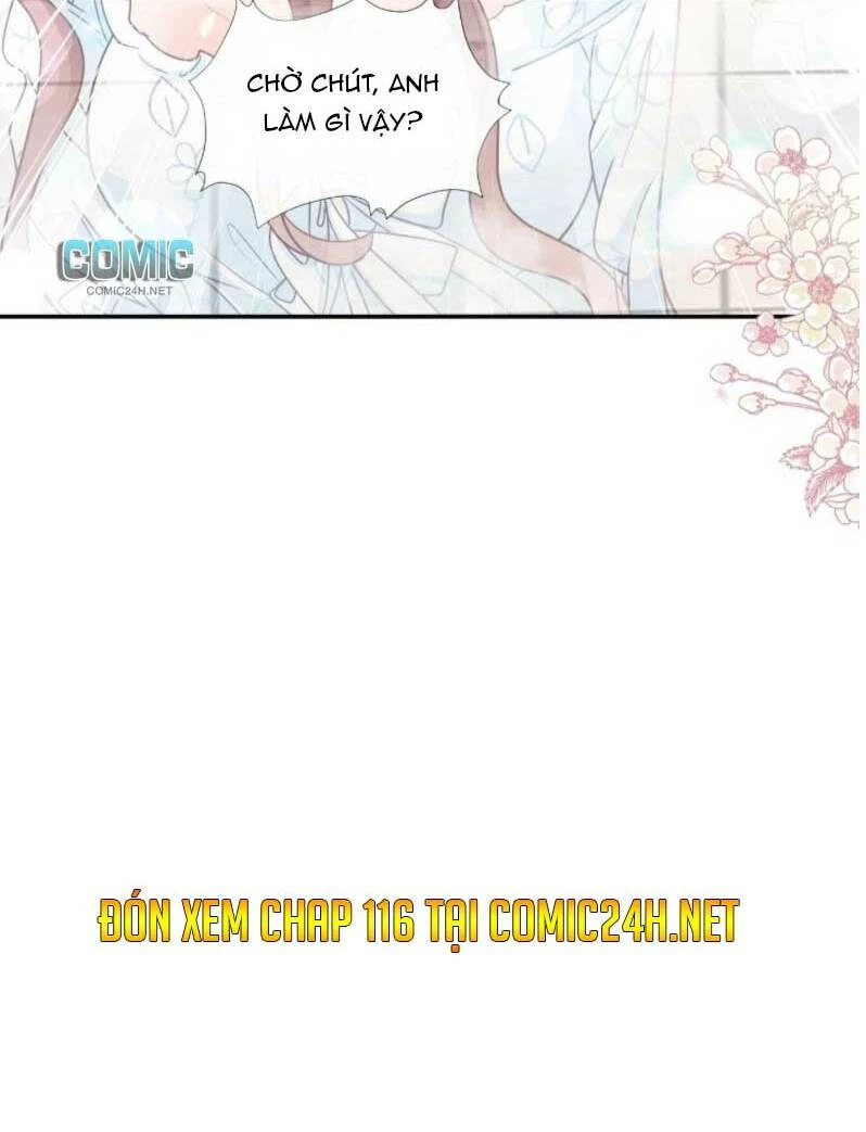 Bá Đạo Tổng Tài Nhẹ Nhàng Yêu Chapter 115.2 - 15