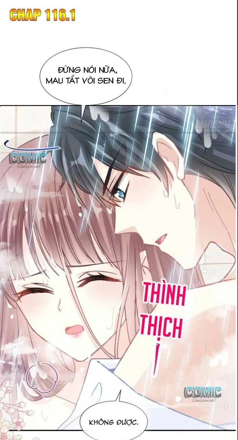 Bá Đạo Tổng Tài Nhẹ Nhàng Yêu Chapter 116.1 - 2