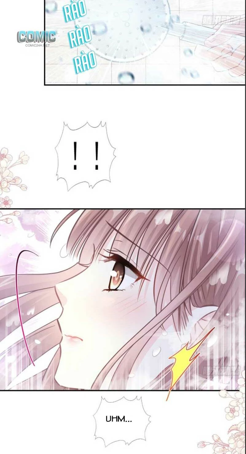 Bá Đạo Tổng Tài Nhẹ Nhàng Yêu Chapter 116.1 - 5