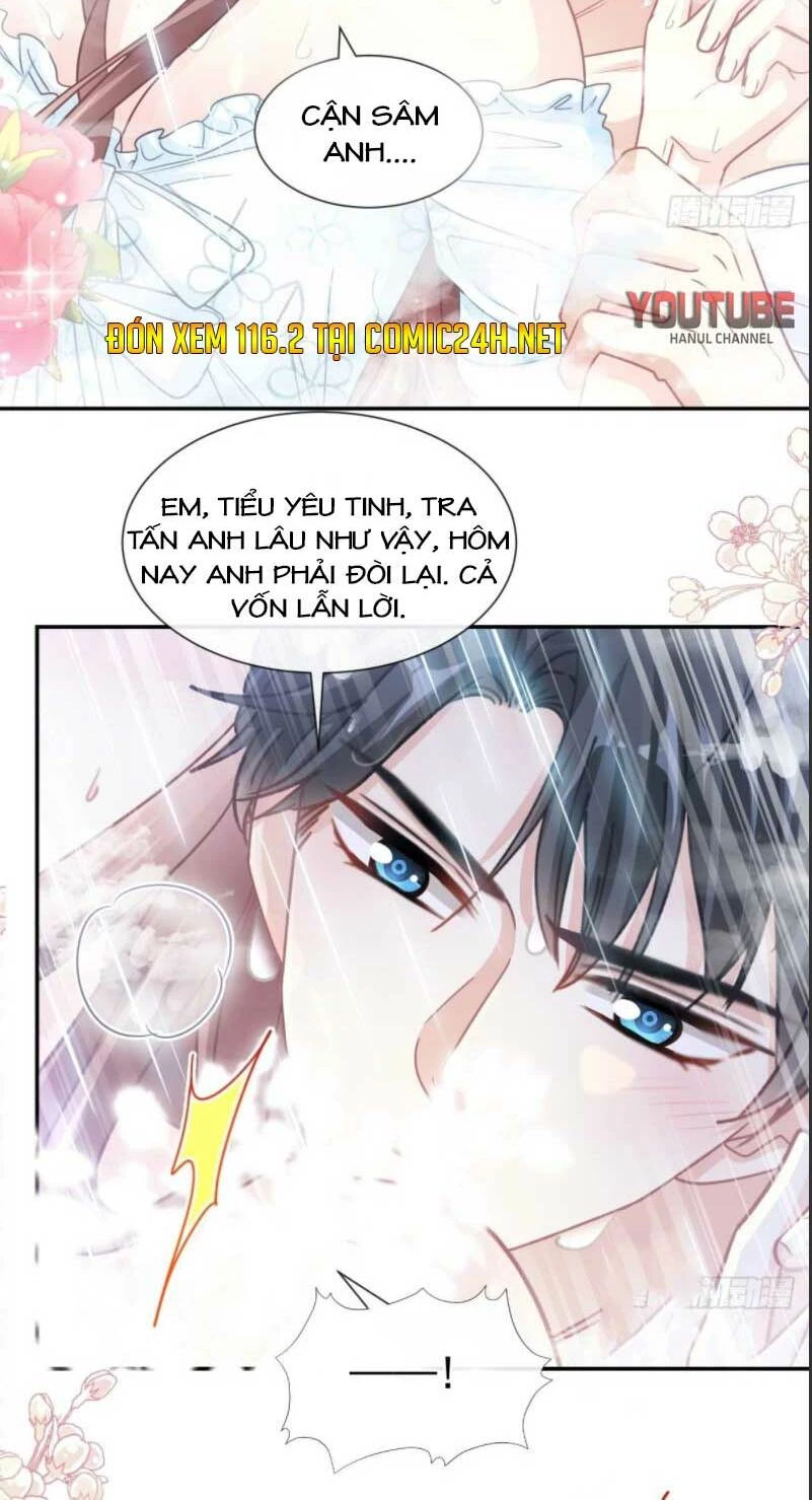 Bá Đạo Tổng Tài Nhẹ Nhàng Yêu Chapter 116.1 - 17