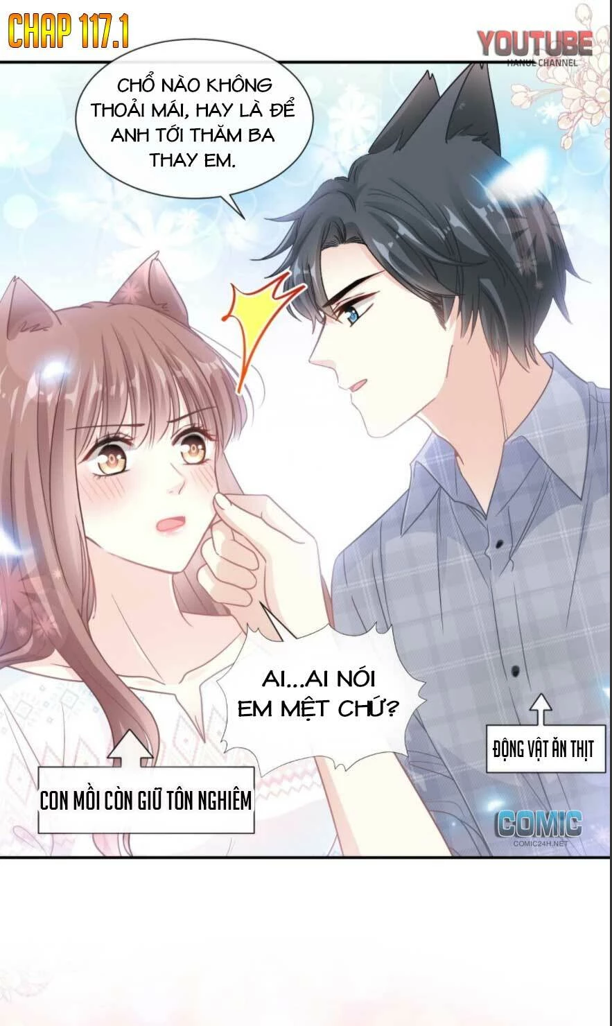 Bá Đạo Tổng Tài Nhẹ Nhàng Yêu Chapter 117.1 - 2