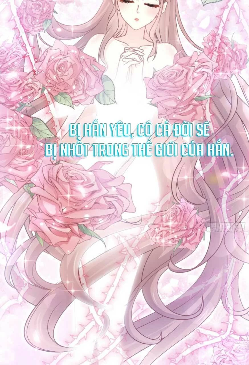 Bá Đạo Tổng Tài Nhẹ Nhàng Yêu Chapter 117.2 - 5