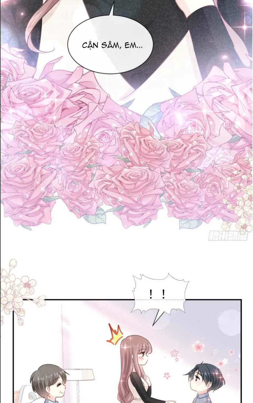 Bá Đạo Tổng Tài Nhẹ Nhàng Yêu Chapter 118.1 - 8