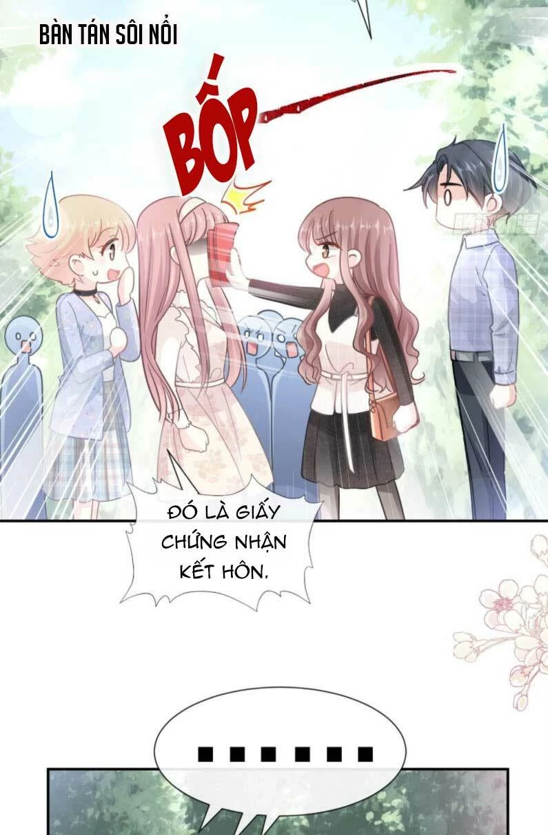 Bá Đạo Tổng Tài Nhẹ Nhàng Yêu Chapter 120.2 - 10