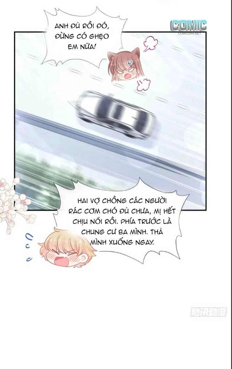 Bá Đạo Tổng Tài Nhẹ Nhàng Yêu Chapter 121.1 - 11