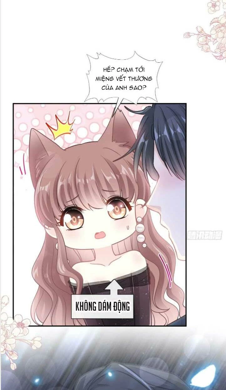 Bá Đạo Tổng Tài Nhẹ Nhàng Yêu Chapter 126.1 - 6