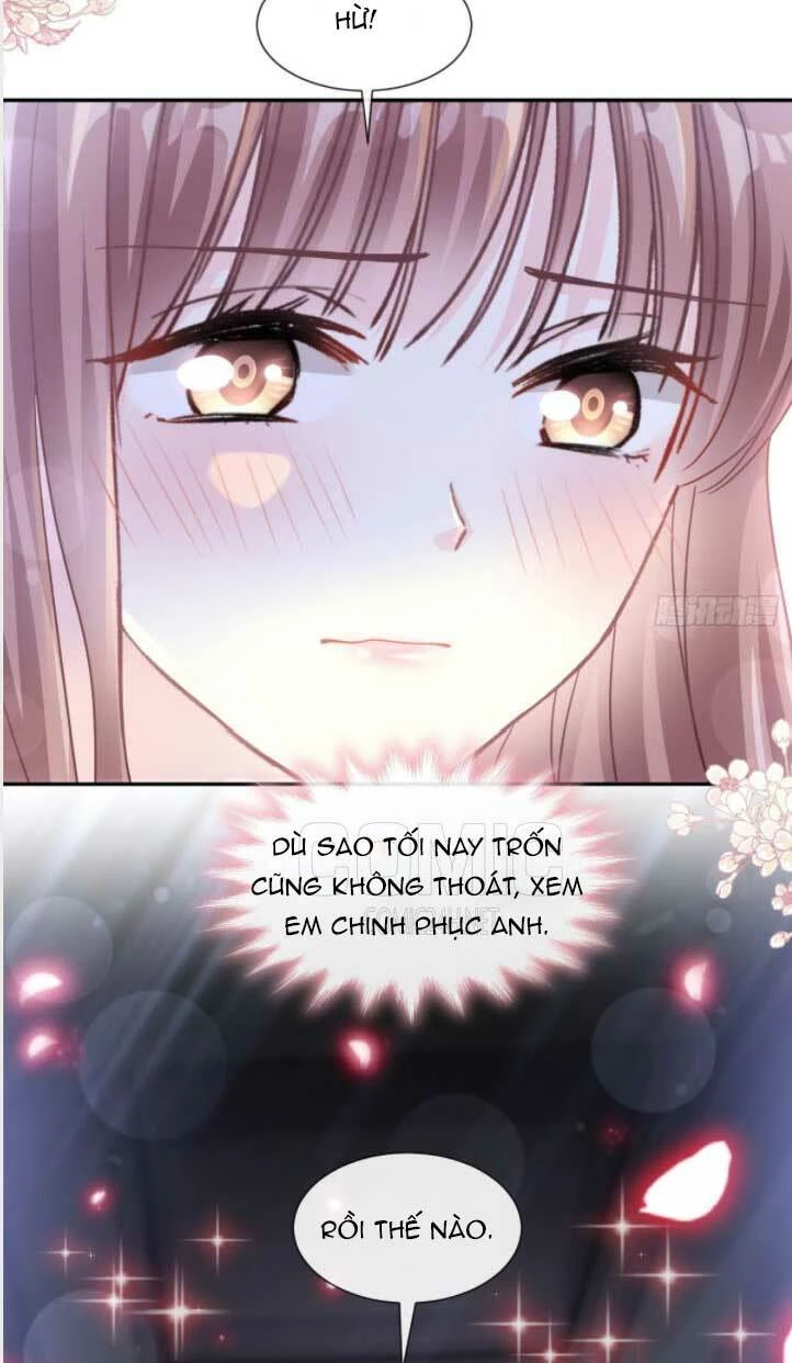 Bá Đạo Tổng Tài Nhẹ Nhàng Yêu Chapter 126.1 - 15