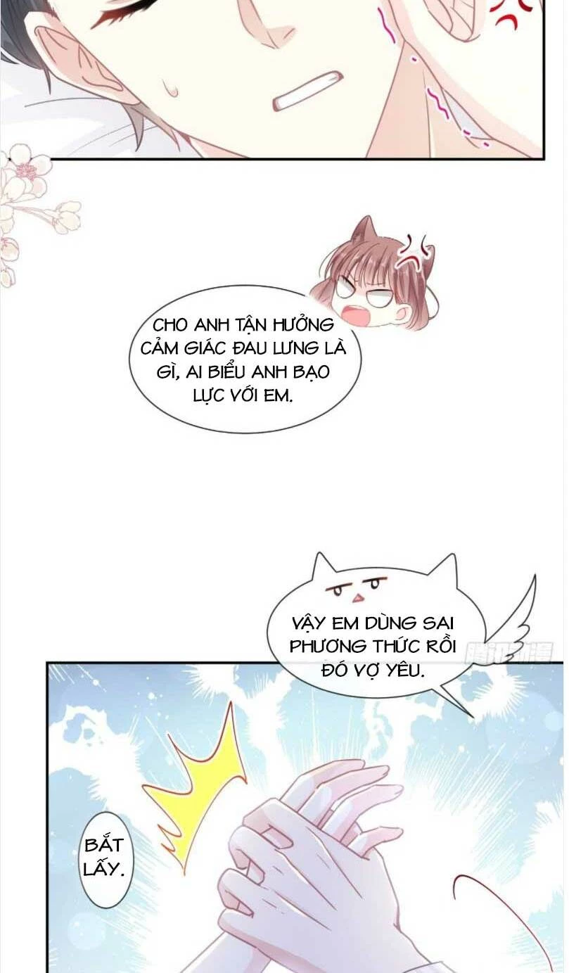 Bá Đạo Tổng Tài Nhẹ Nhàng Yêu Chapter 127.2 - 5