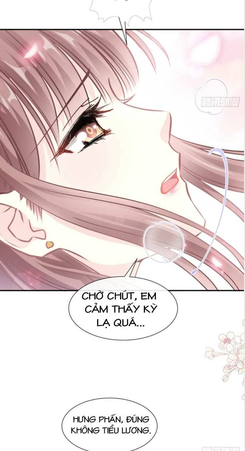 Bá Đạo Tổng Tài Nhẹ Nhàng Yêu Chapter 133.1 - 8