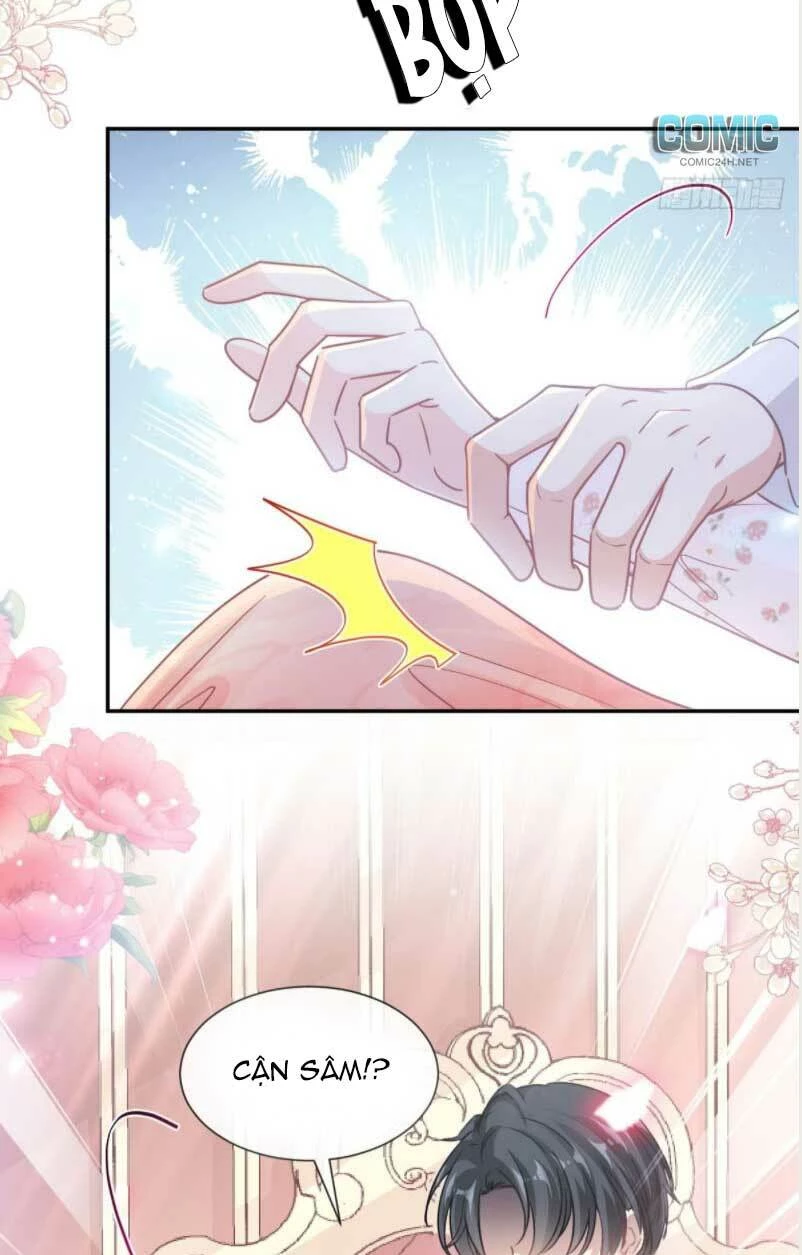 Bá Đạo Tổng Tài Nhẹ Nhàng Yêu Chapter 134.1 - 11