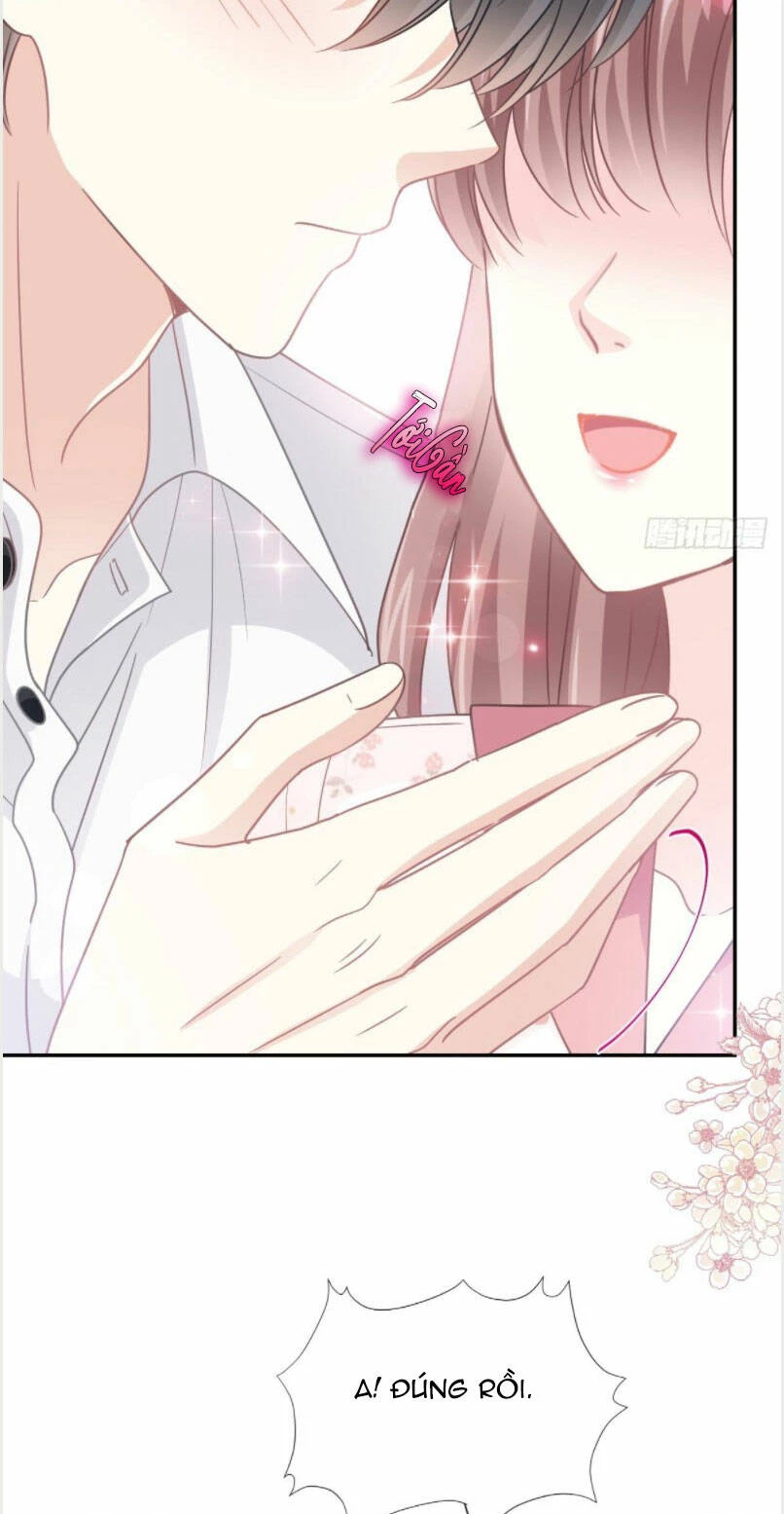 Bá Đạo Tổng Tài Nhẹ Nhàng Yêu Chapter 136.2 - 14