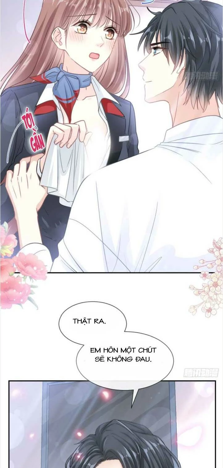 Bá Đạo Tổng Tài Nhẹ Nhàng Yêu Chapter 155 - 29