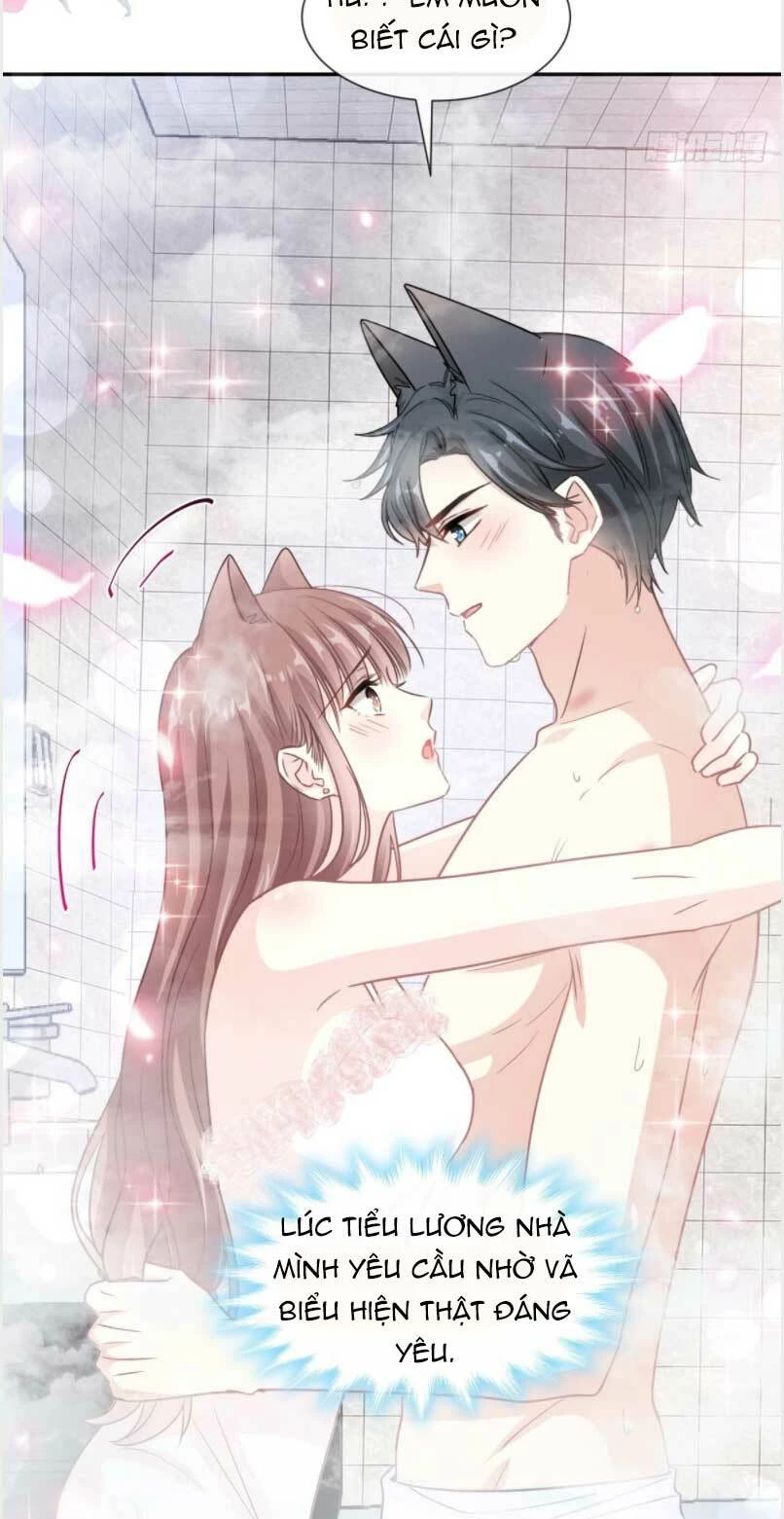 Bá Đạo Tổng Tài Nhẹ Nhàng Yêu Chapter 162 - 6