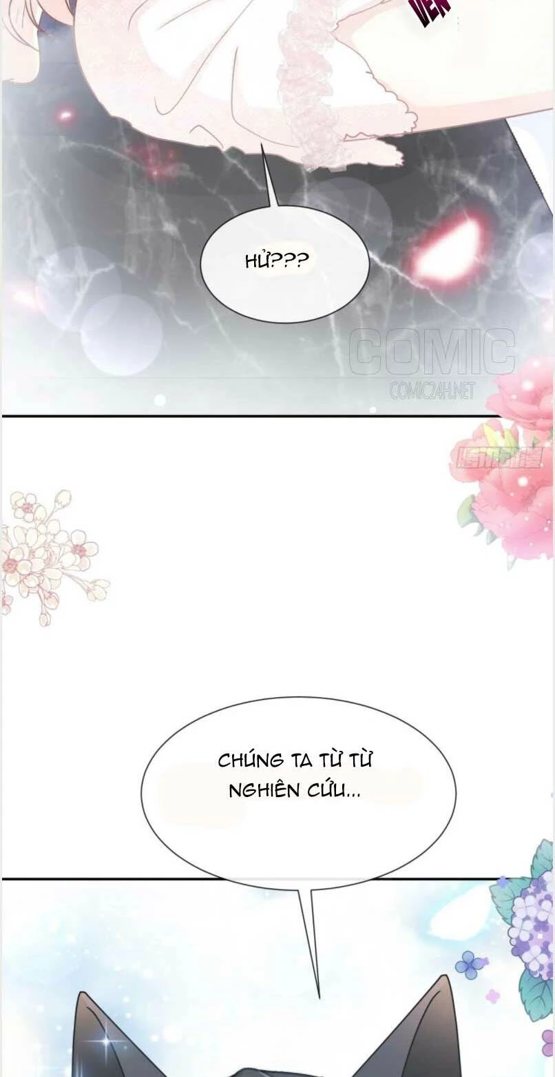 Bá Đạo Tổng Tài Nhẹ Nhàng Yêu Chapter 162 - 13