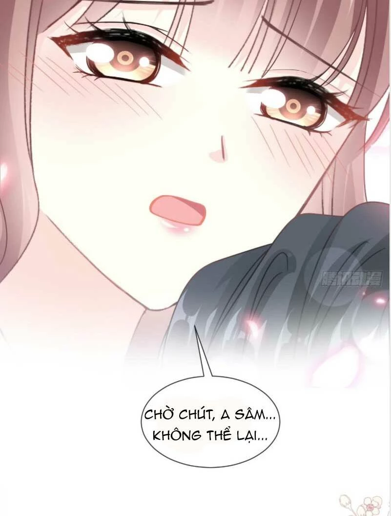 Bá Đạo Tổng Tài Nhẹ Nhàng Yêu Chapter 162 - 30