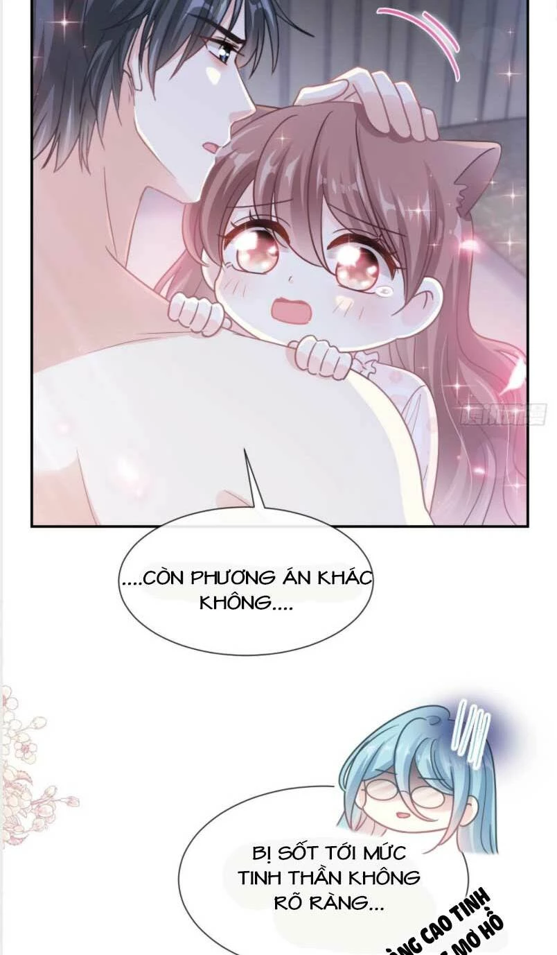 Bá Đạo Tổng Tài Nhẹ Nhàng Yêu Chapter 169 - 19