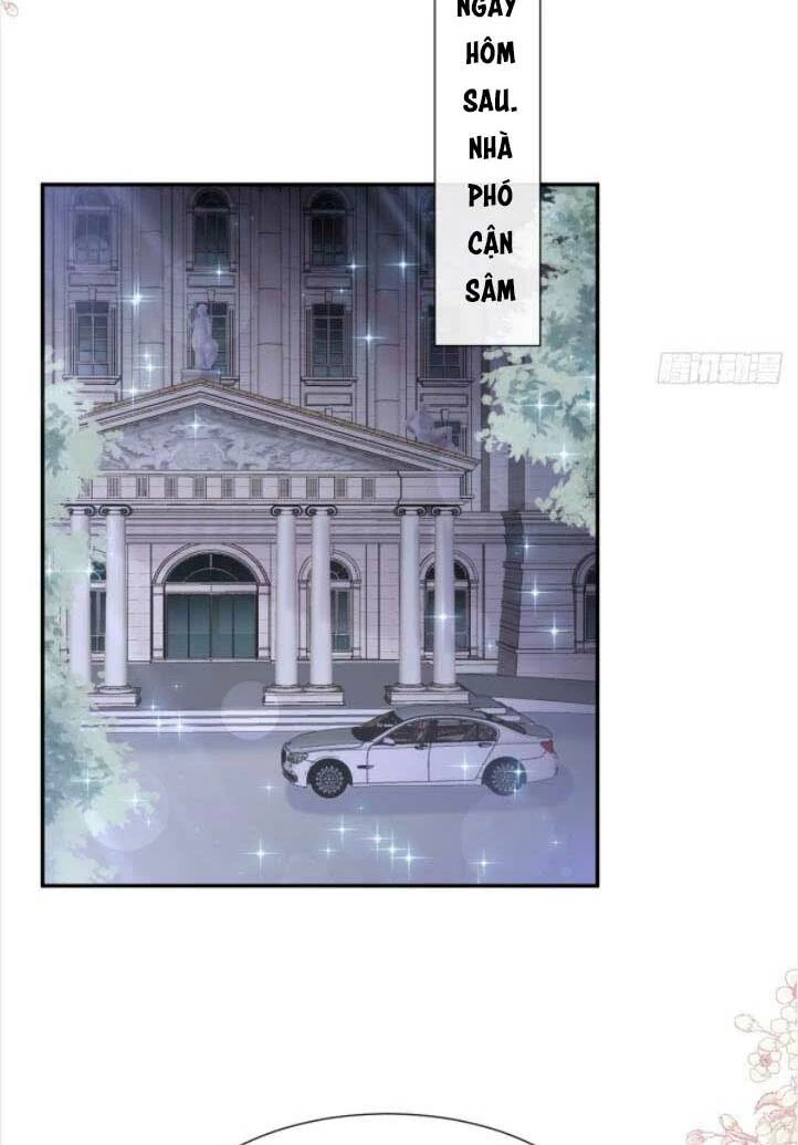 Bá Đạo Tổng Tài Nhẹ Nhàng Yêu Chapter 172 - 19