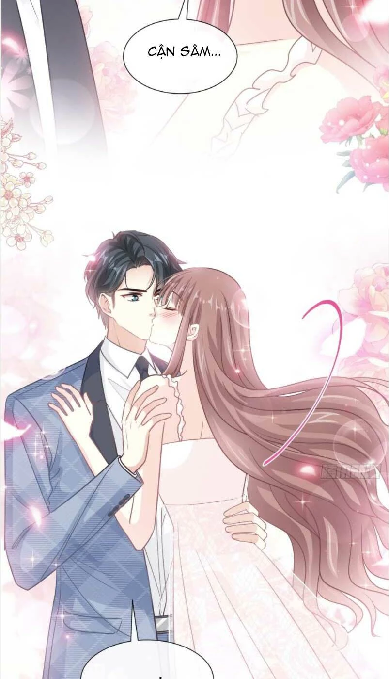 Bá Đạo Tổng Tài Nhẹ Nhàng Yêu Chapter 173 - 19