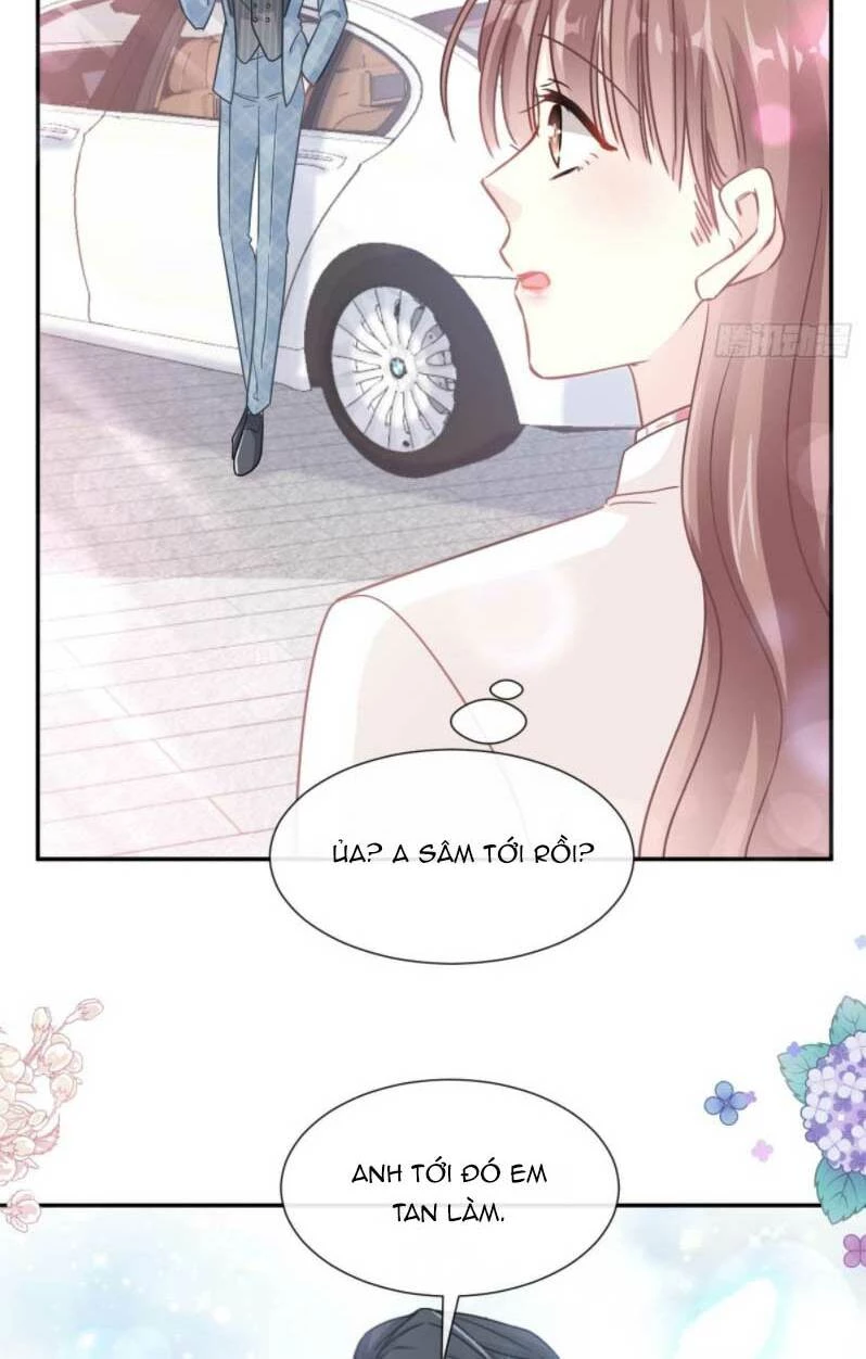 Bá Đạo Tổng Tài Nhẹ Nhàng Yêu Chapter 176 - 14