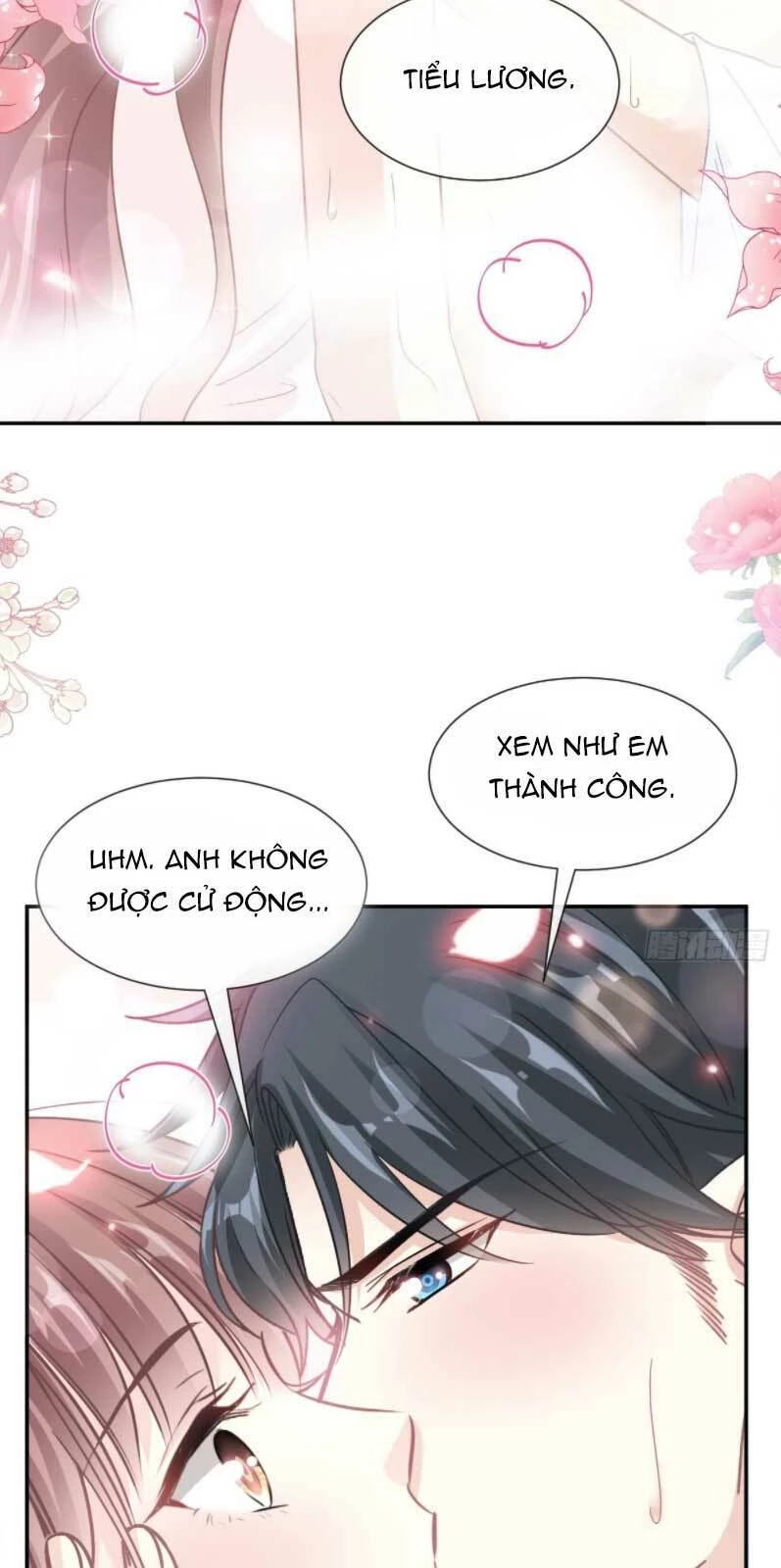 Bá Đạo Tổng Tài Nhẹ Nhàng Yêu Chapter 178.2 - 7