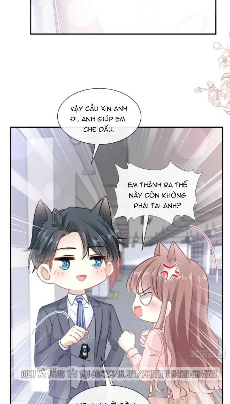 Bá Đạo Tổng Tài Nhẹ Nhàng Yêu Chapter 181 - 3