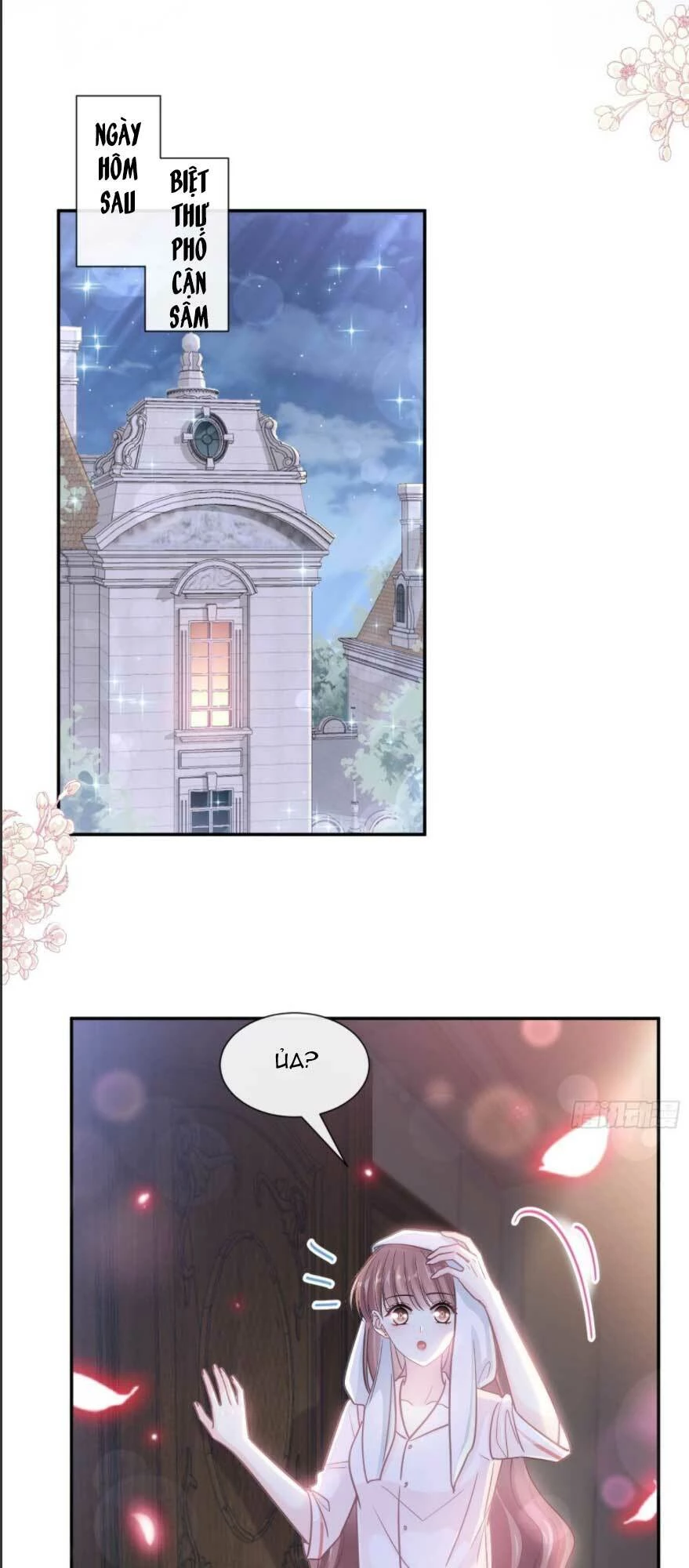 Bá Đạo Tổng Tài Nhẹ Nhàng Yêu Chapter 184 - 5