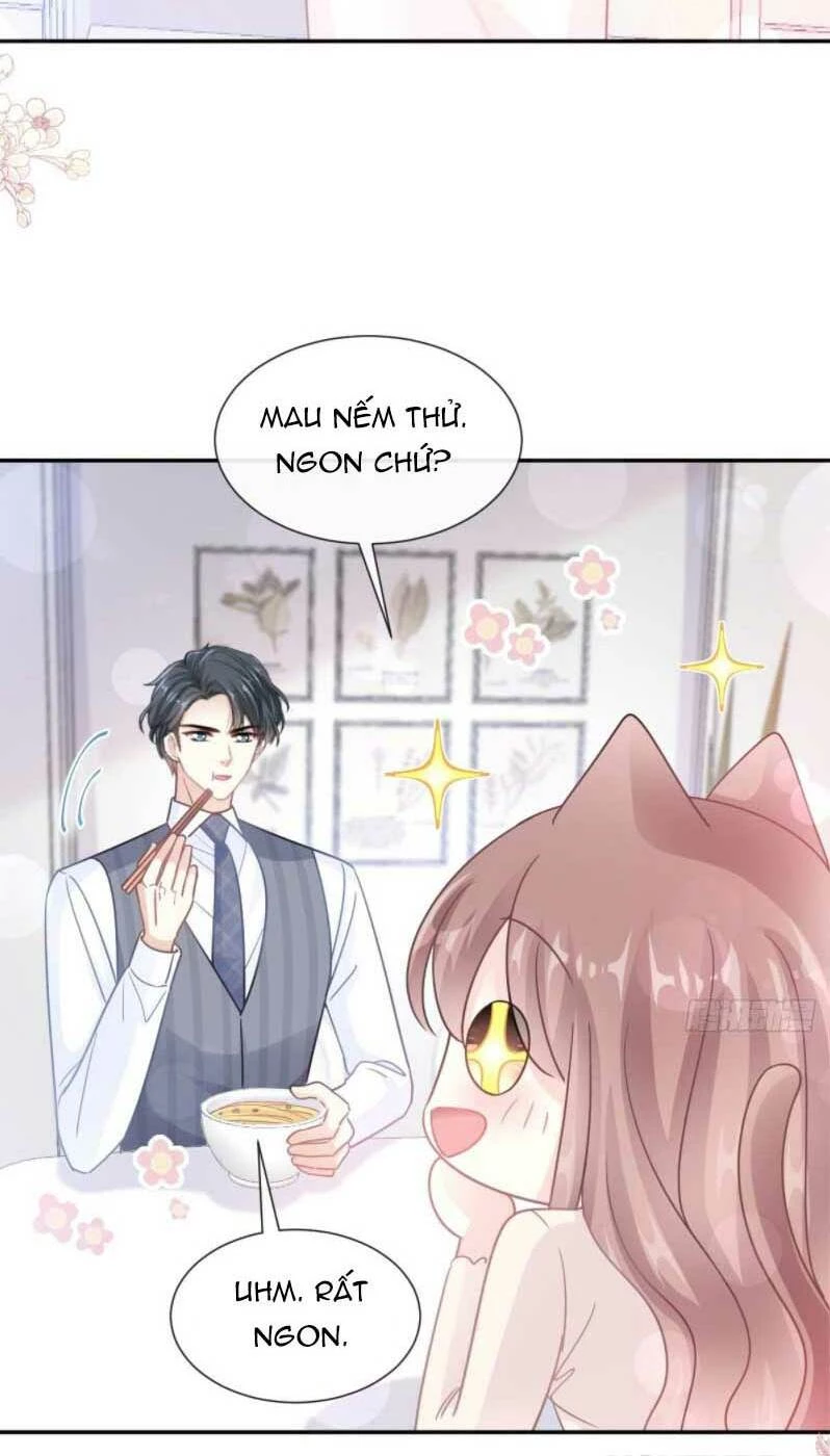 Bá Đạo Tổng Tài Nhẹ Nhàng Yêu Chapter 186.1 - 11
