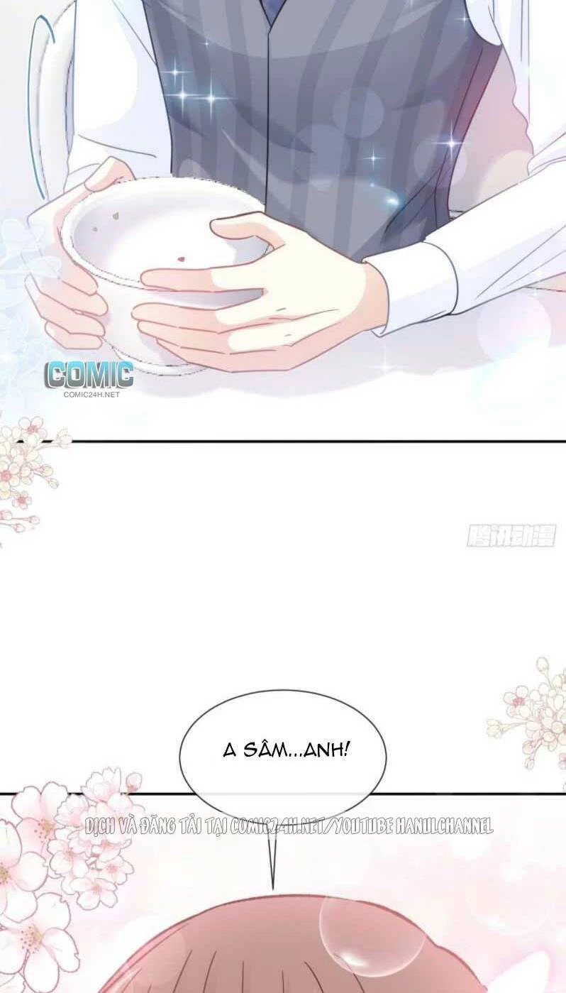 Bá Đạo Tổng Tài Nhẹ Nhàng Yêu Chapter 186.1 - 17