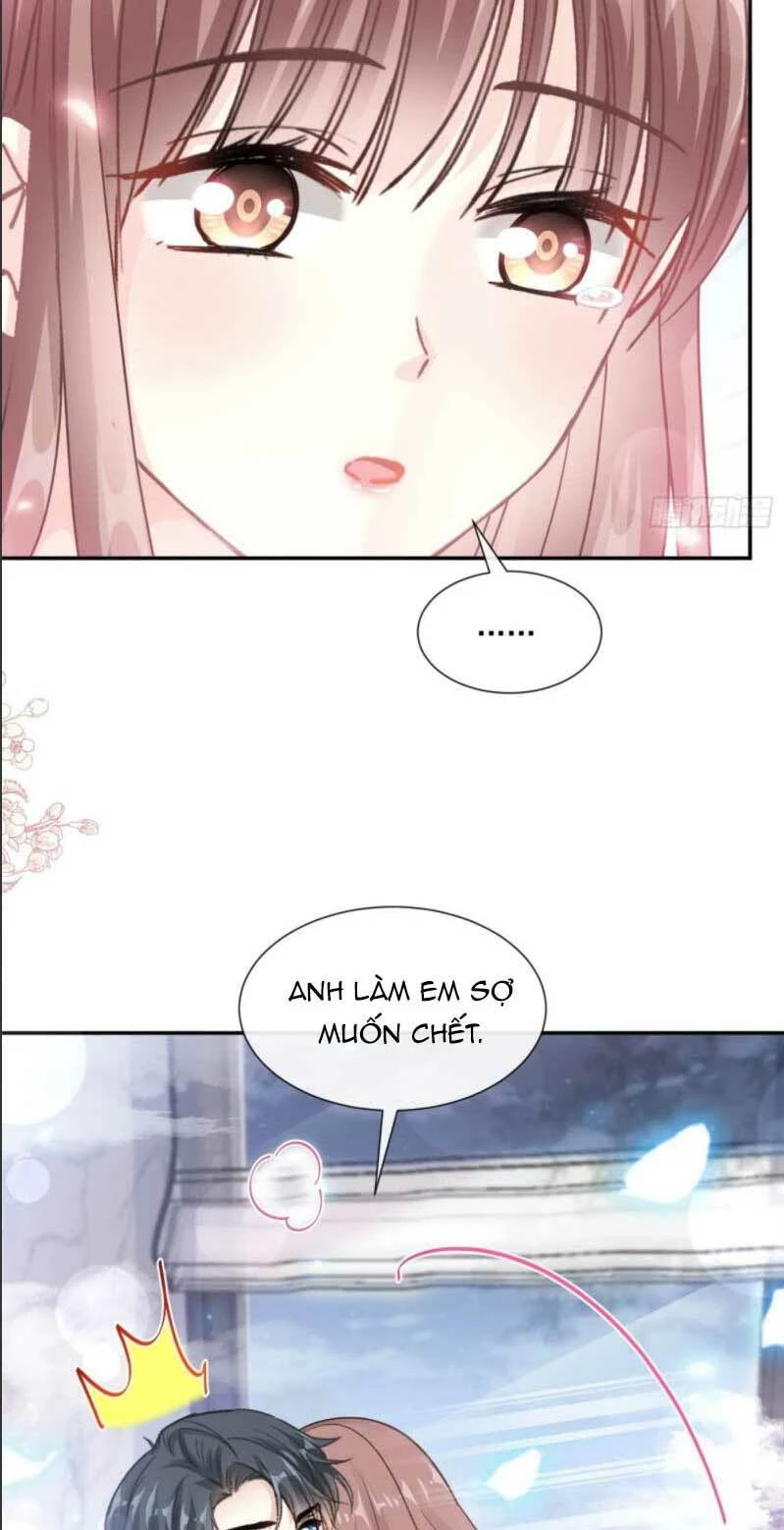 Bá Đạo Tổng Tài Nhẹ Nhàng Yêu Chapter 186.2 - 6