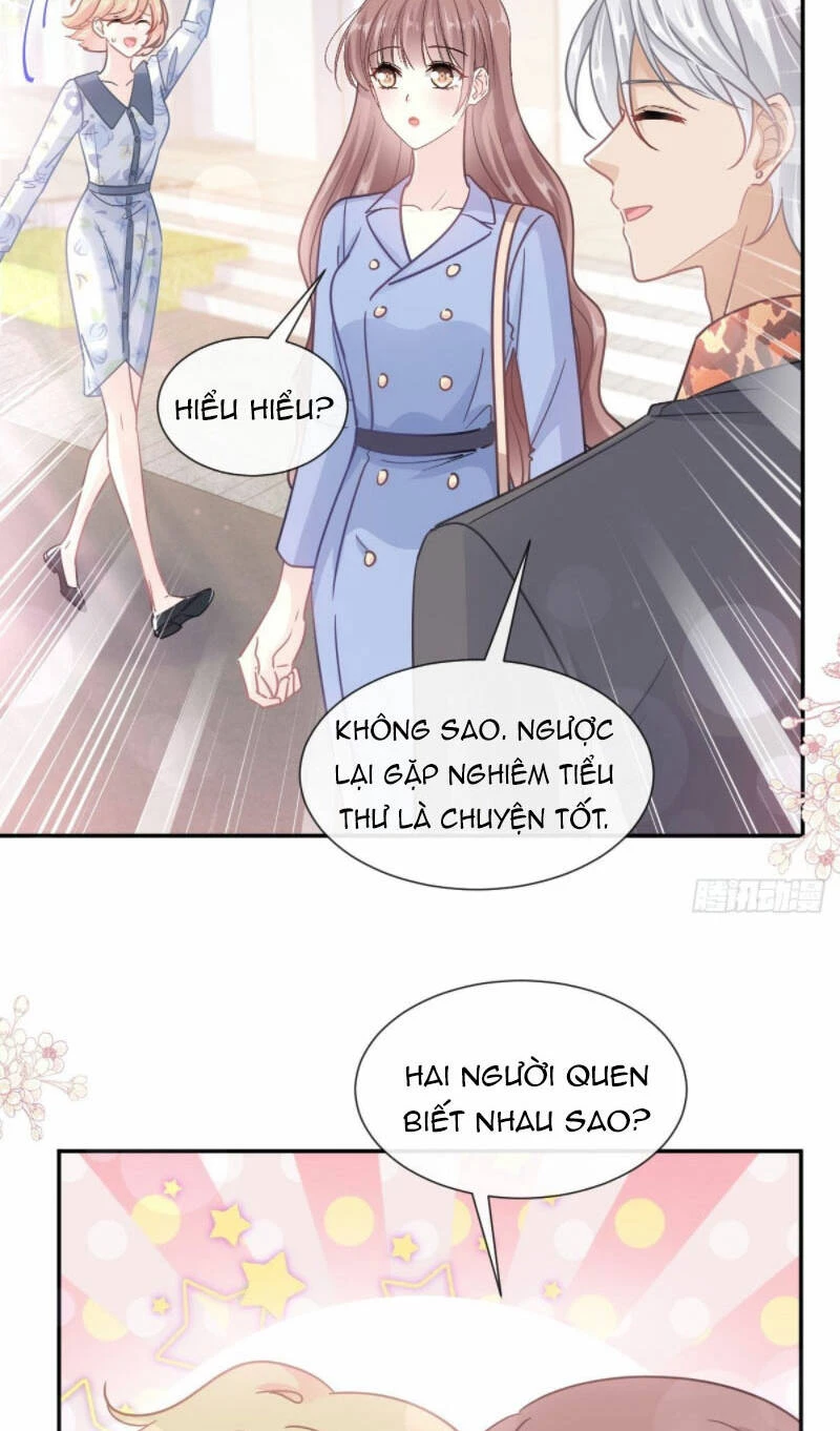 Bá Đạo Tổng Tài Nhẹ Nhàng Yêu Chapter 188 - 5