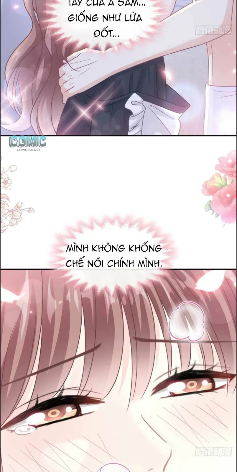 Bá Đạo Tổng Tài Nhẹ Nhàng Yêu Chapter 192 - 33