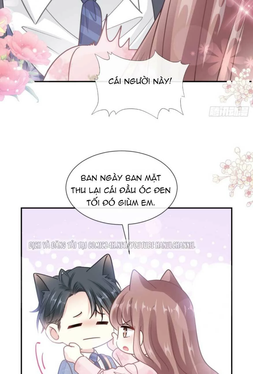 Bá Đạo Tổng Tài Nhẹ Nhàng Yêu Chapter 194 - 10