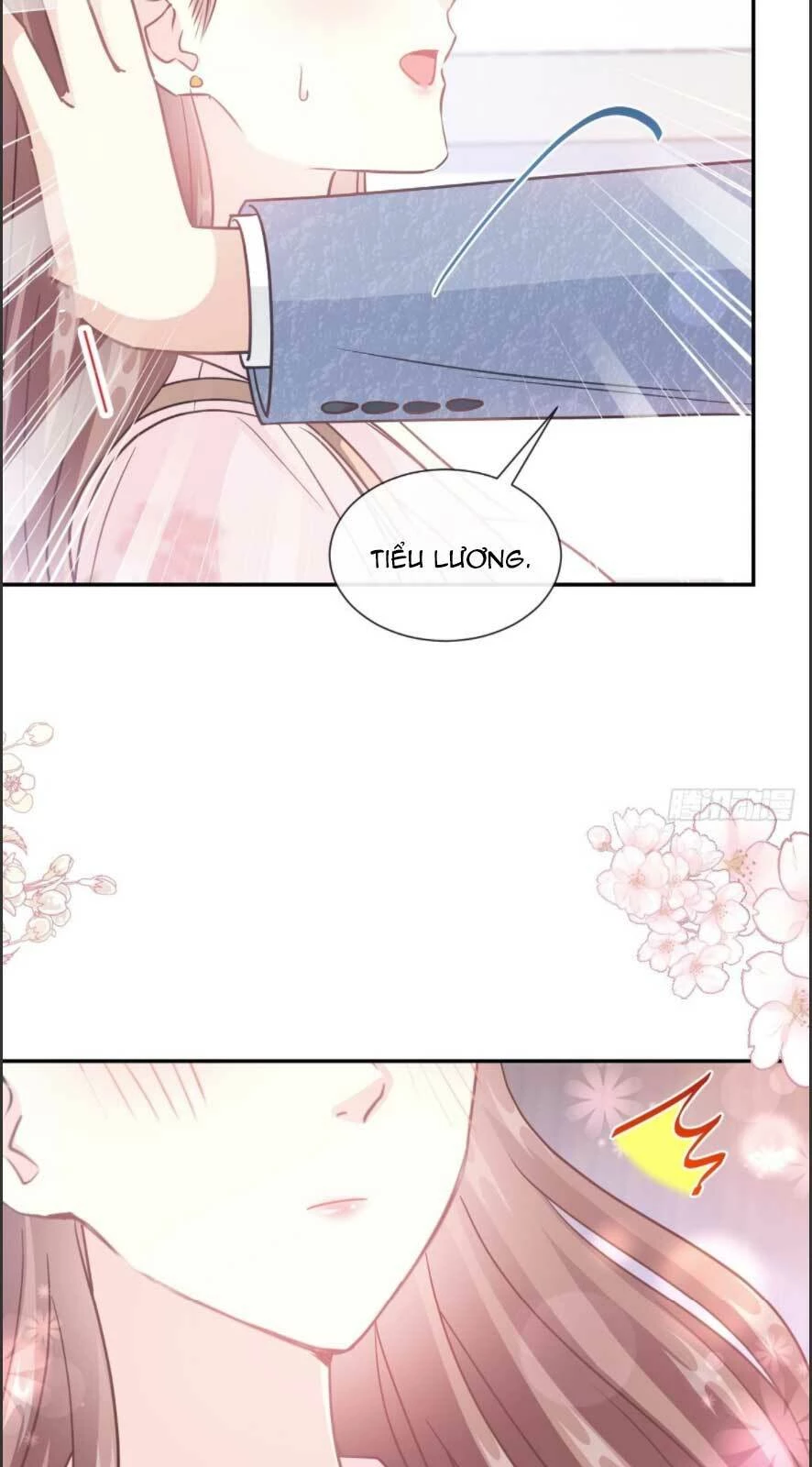 Bá Đạo Tổng Tài Nhẹ Nhàng Yêu Chapter 194 - 23