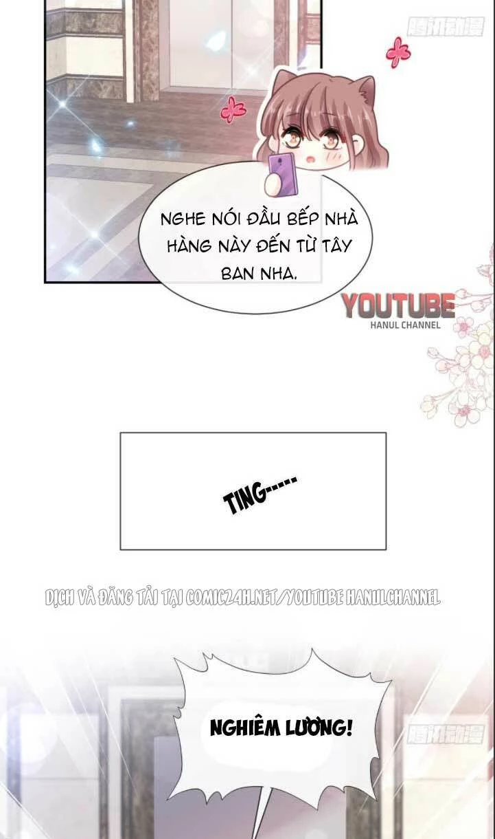 Bá Đạo Tổng Tài Nhẹ Nhàng Yêu Chapter 195 - 24