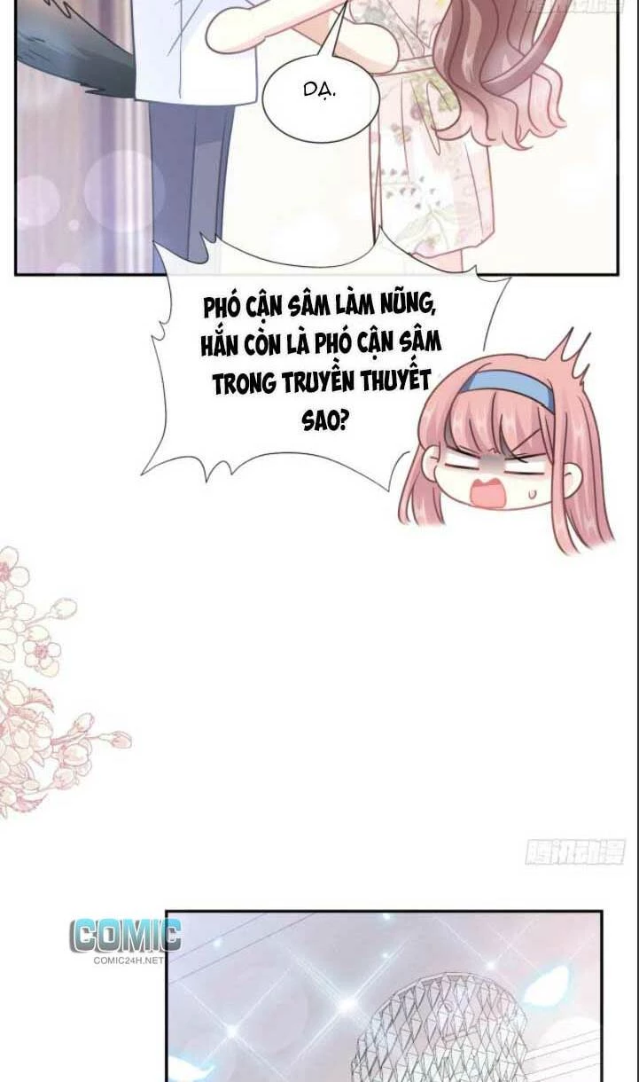 Bá Đạo Tổng Tài Nhẹ Nhàng Yêu Chapter 195 - 29