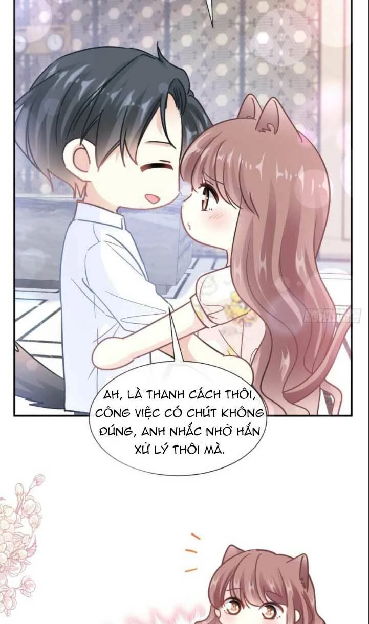 Bá Đạo Tổng Tài Nhẹ Nhàng Yêu Chapter 195 - 34