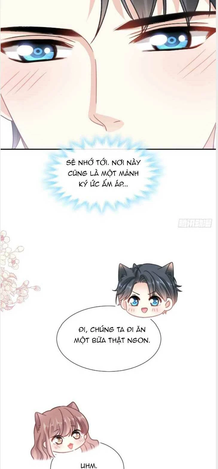 Bá Đạo Tổng Tài Nhẹ Nhàng Yêu Chapter 196.2 - 5