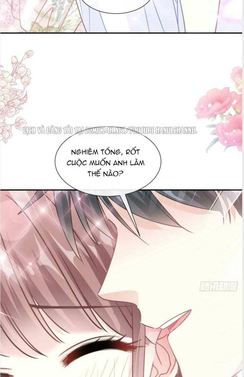 Bá Đạo Tổng Tài Nhẹ Nhàng Yêu Chapter 197.1 - 17