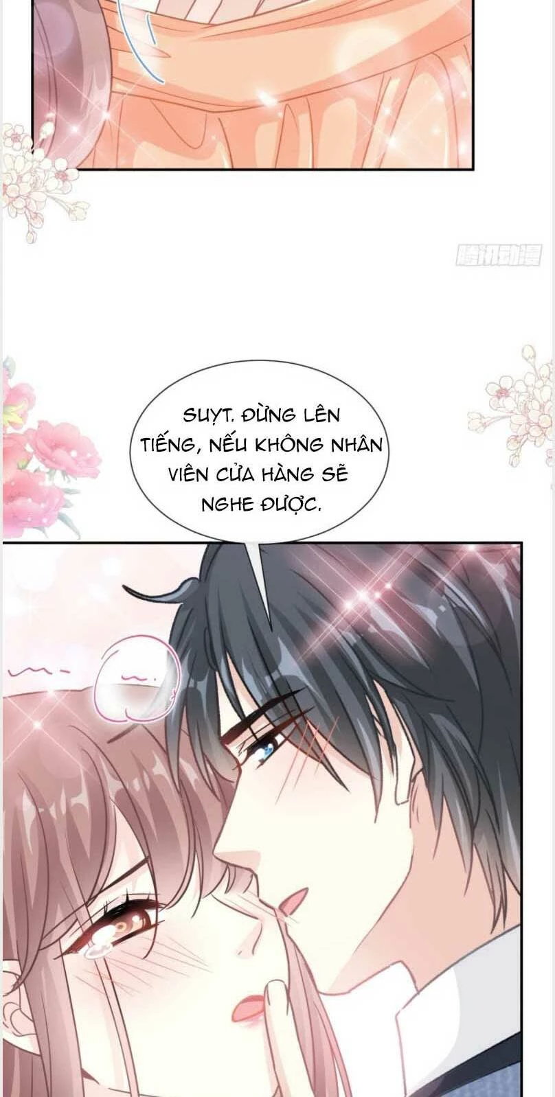 Bá Đạo Tổng Tài Nhẹ Nhàng Yêu Chapter 199.1 - 13