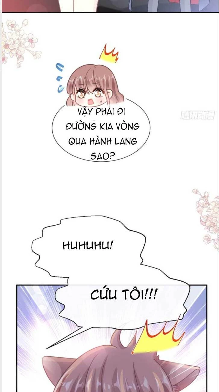 Bá Đạo Tổng Tài Nhẹ Nhàng Yêu Chapter 200 - 7