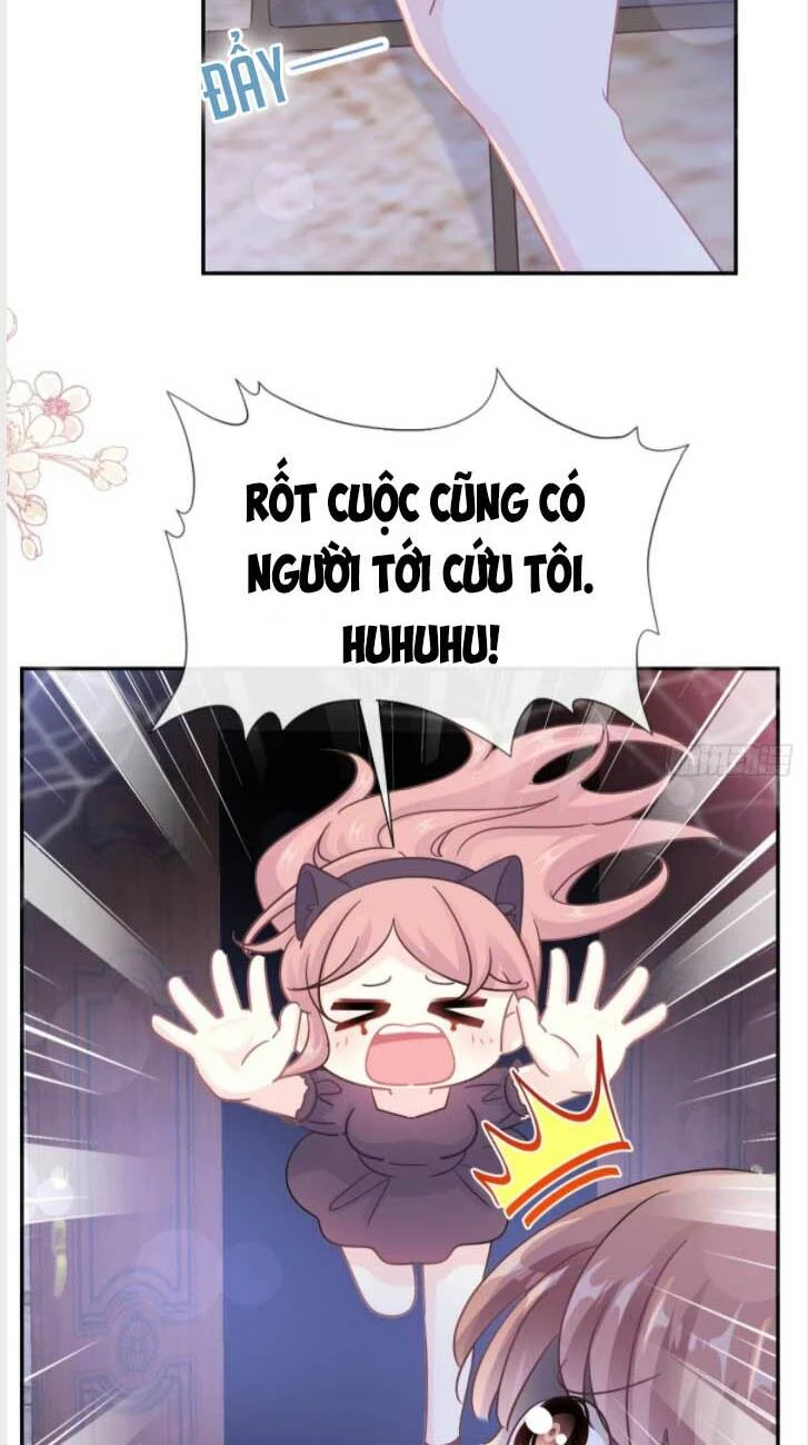 Bá Đạo Tổng Tài Nhẹ Nhàng Yêu Chapter 200 - 15