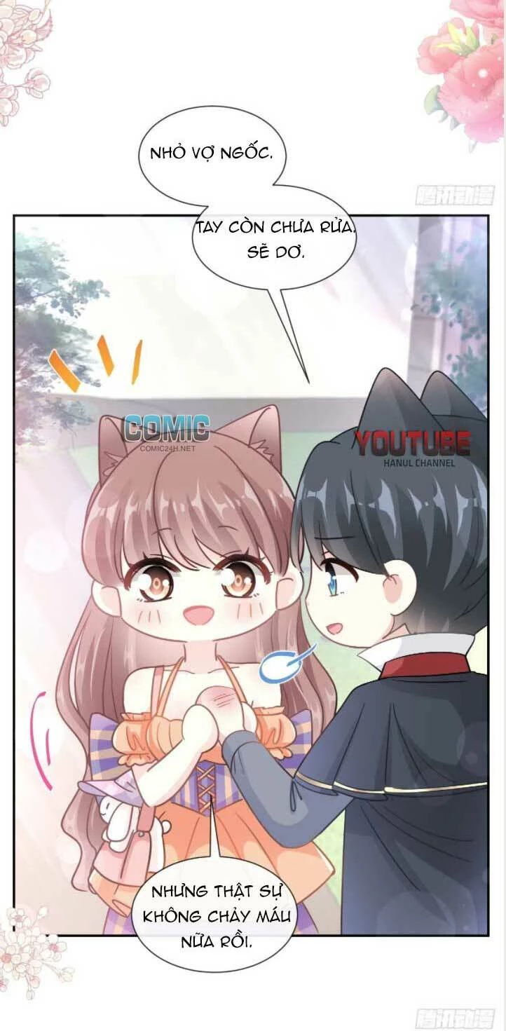 Bá Đạo Tổng Tài Nhẹ Nhàng Yêu Chapter 201.1 - 16