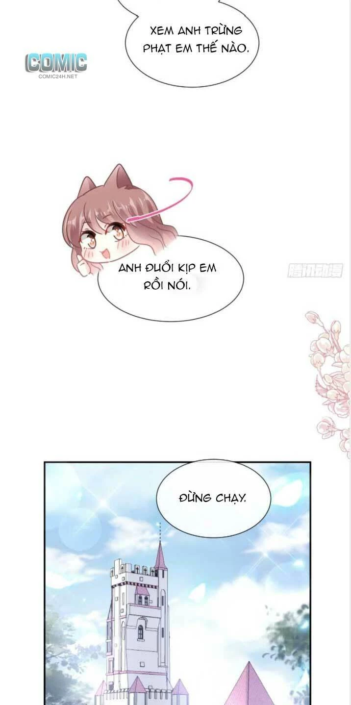 Bá Đạo Tổng Tài Nhẹ Nhàng Yêu Chapter 201.2 - 6