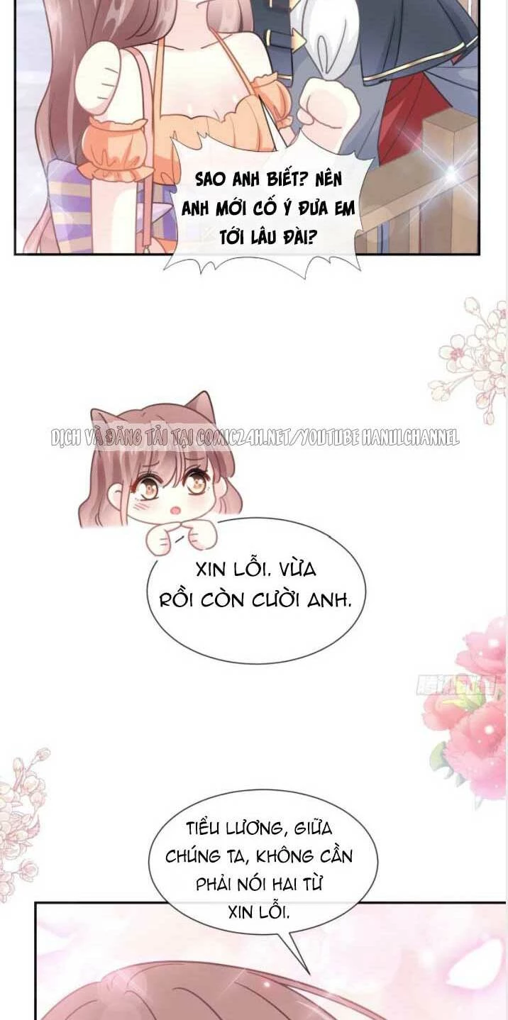 Bá Đạo Tổng Tài Nhẹ Nhàng Yêu Chapter 201.2 - 11